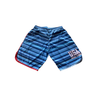 Men's Team USA Striped Shorts