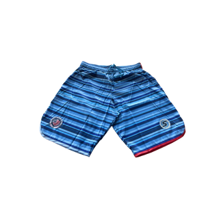 Men's Team USA Striped Shorts